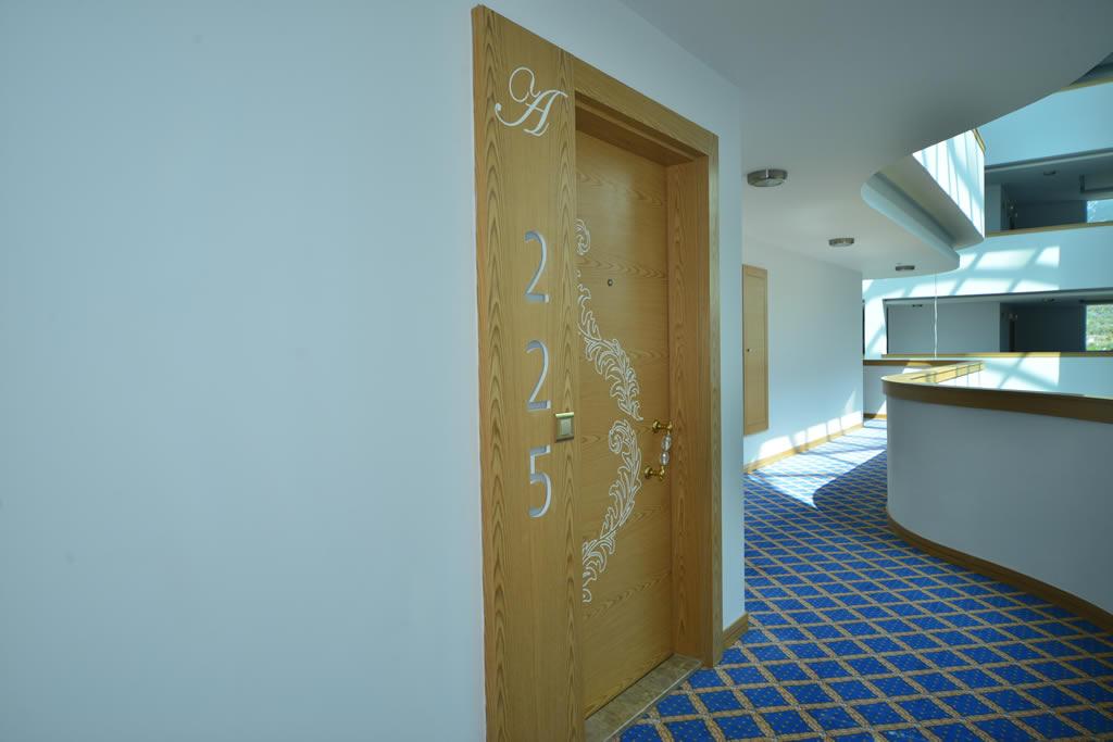 MAY580 - Photo 2