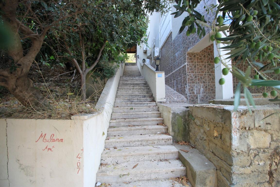 MAY750 - Photo 3