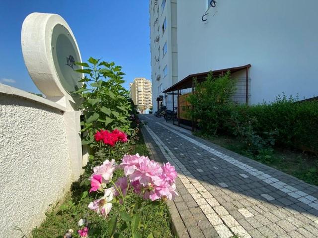 MAY1018 - Photo 8