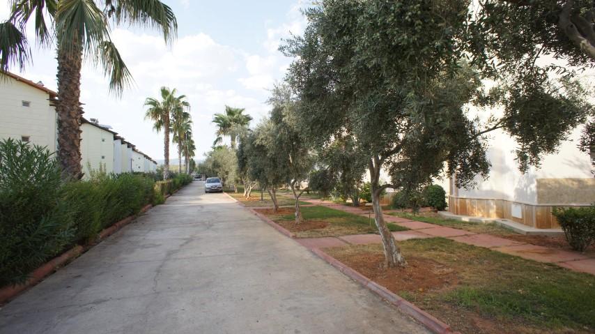 MAY1083 - Photo 4