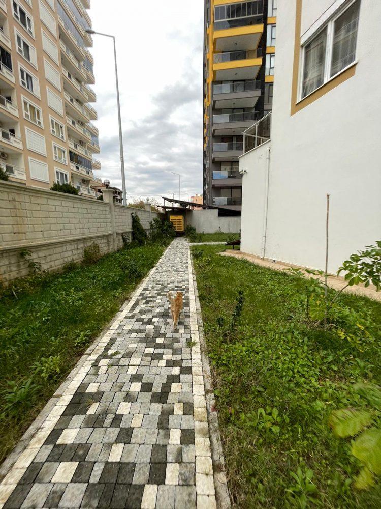 MAY1417 - Photo 28
