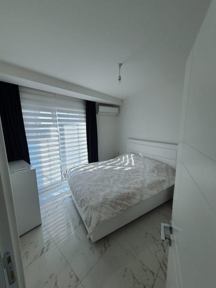 MAY1463 - Photo 3