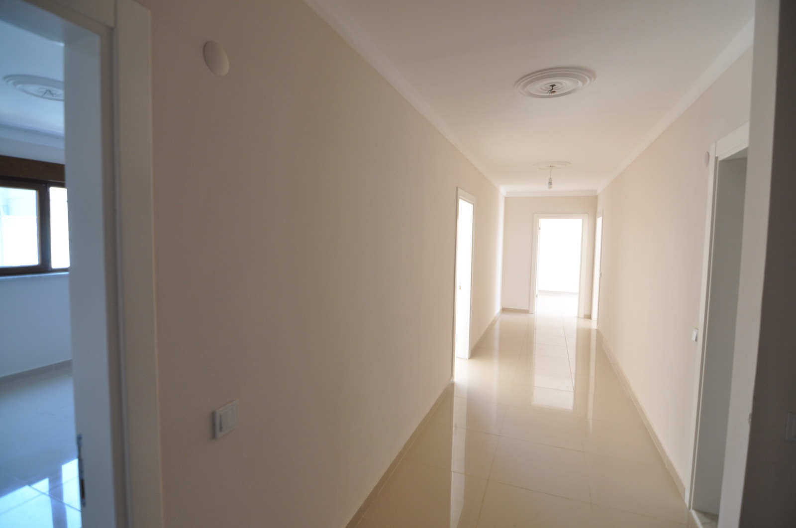 MAY3069 - Photo 11