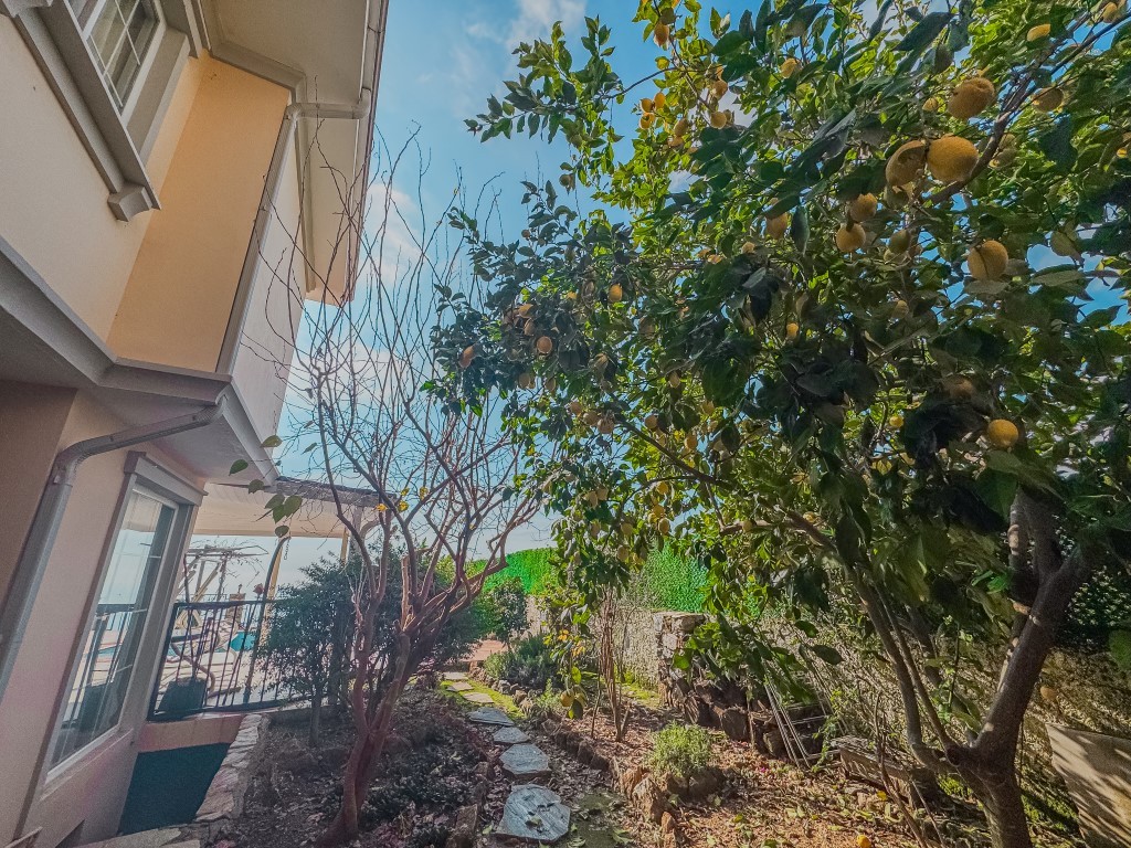 MAY6756 - Photo 6